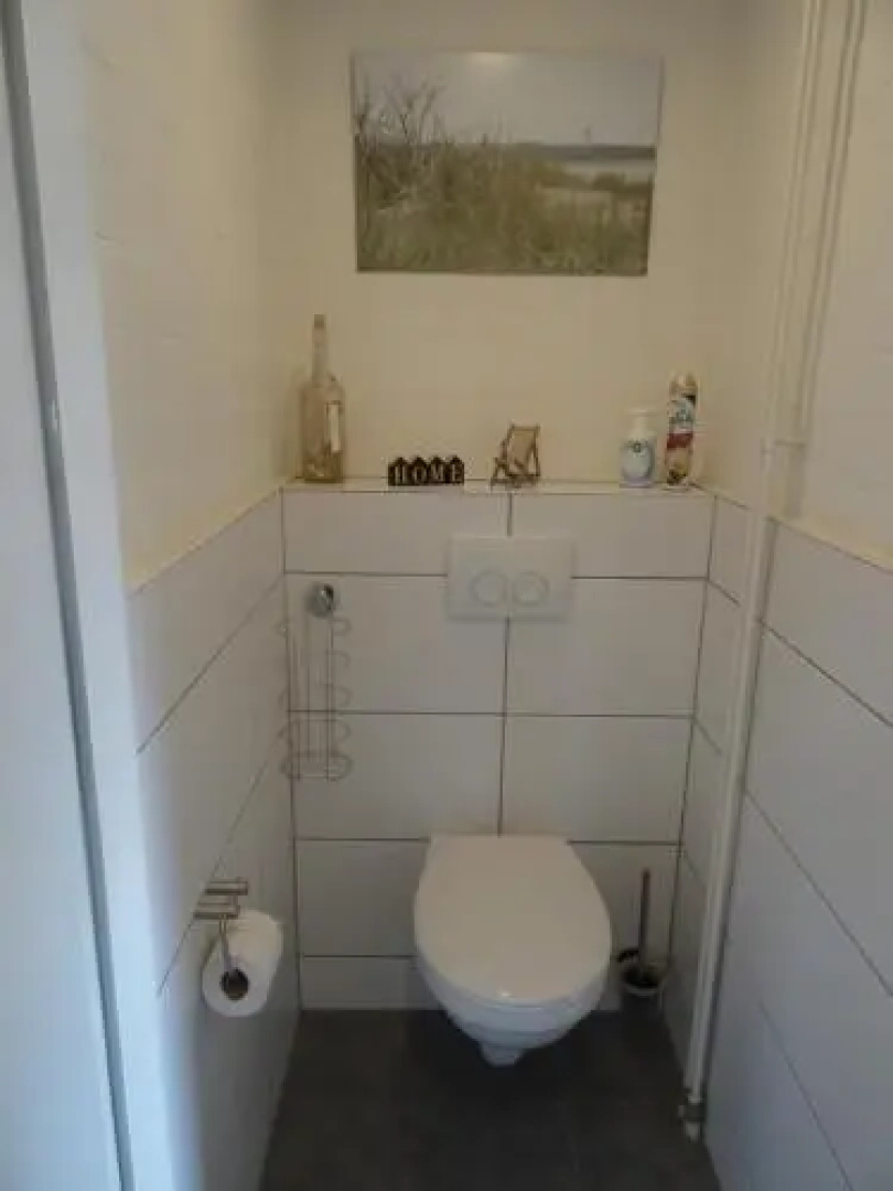 Park Schoneveld: Duinroos 123