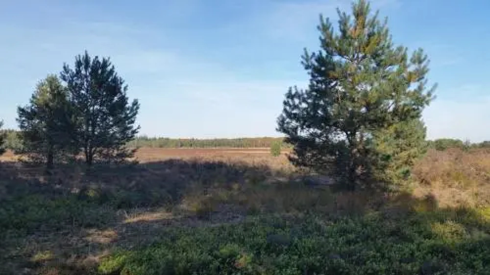 Herberg Schoapendrift