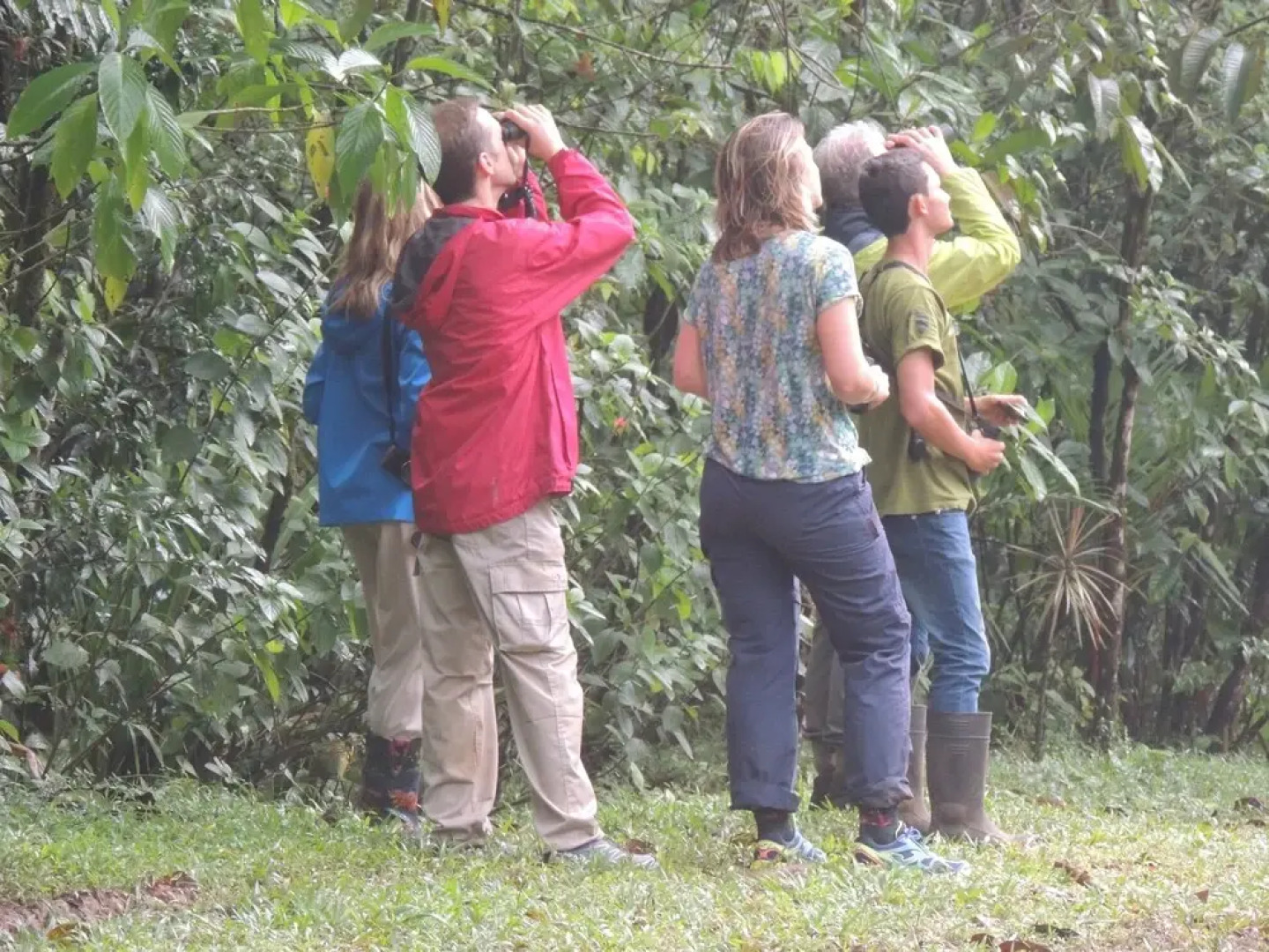 Yatama Ecolodge Sarapiqui