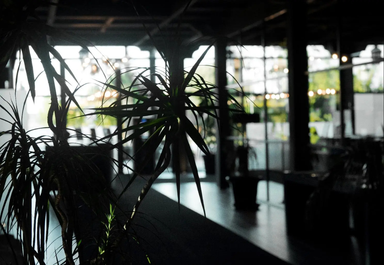 Complejo Enoturístico Finca La Estacada