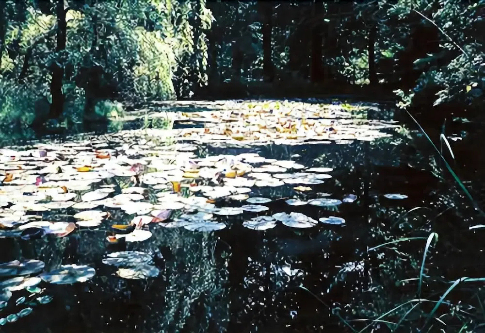 Hotel Landgut Ochsenkopf