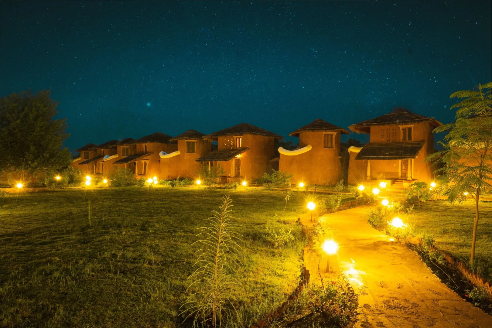 The Earth At Ranthambore