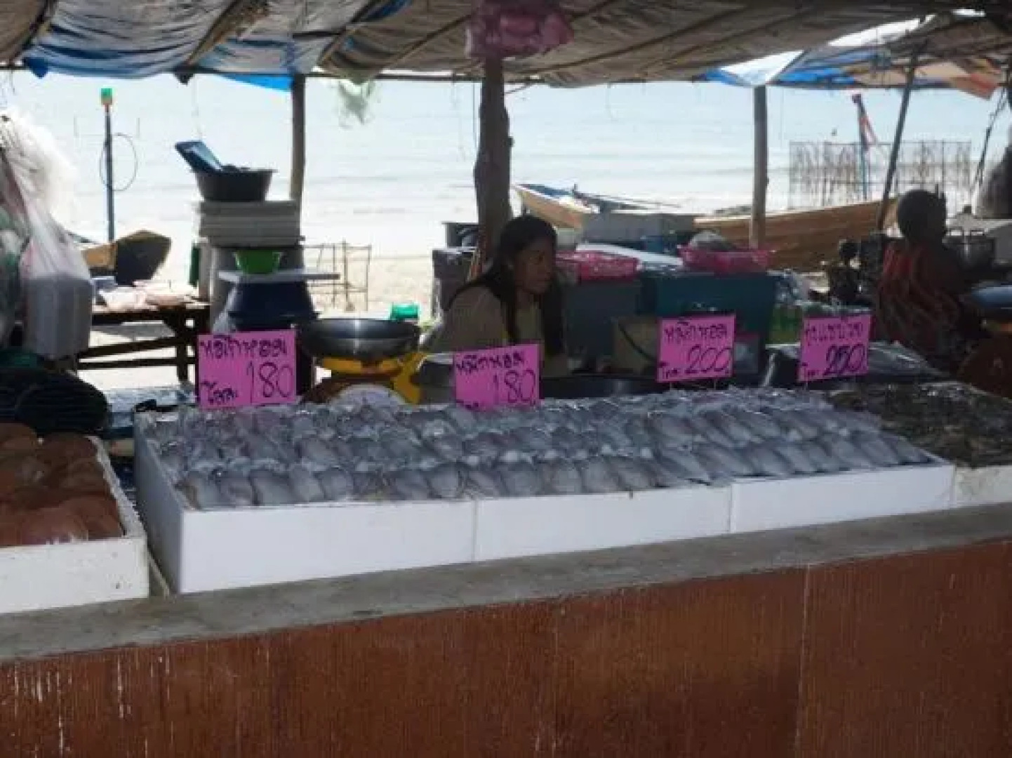 Avatara A64 B Maephimholiday