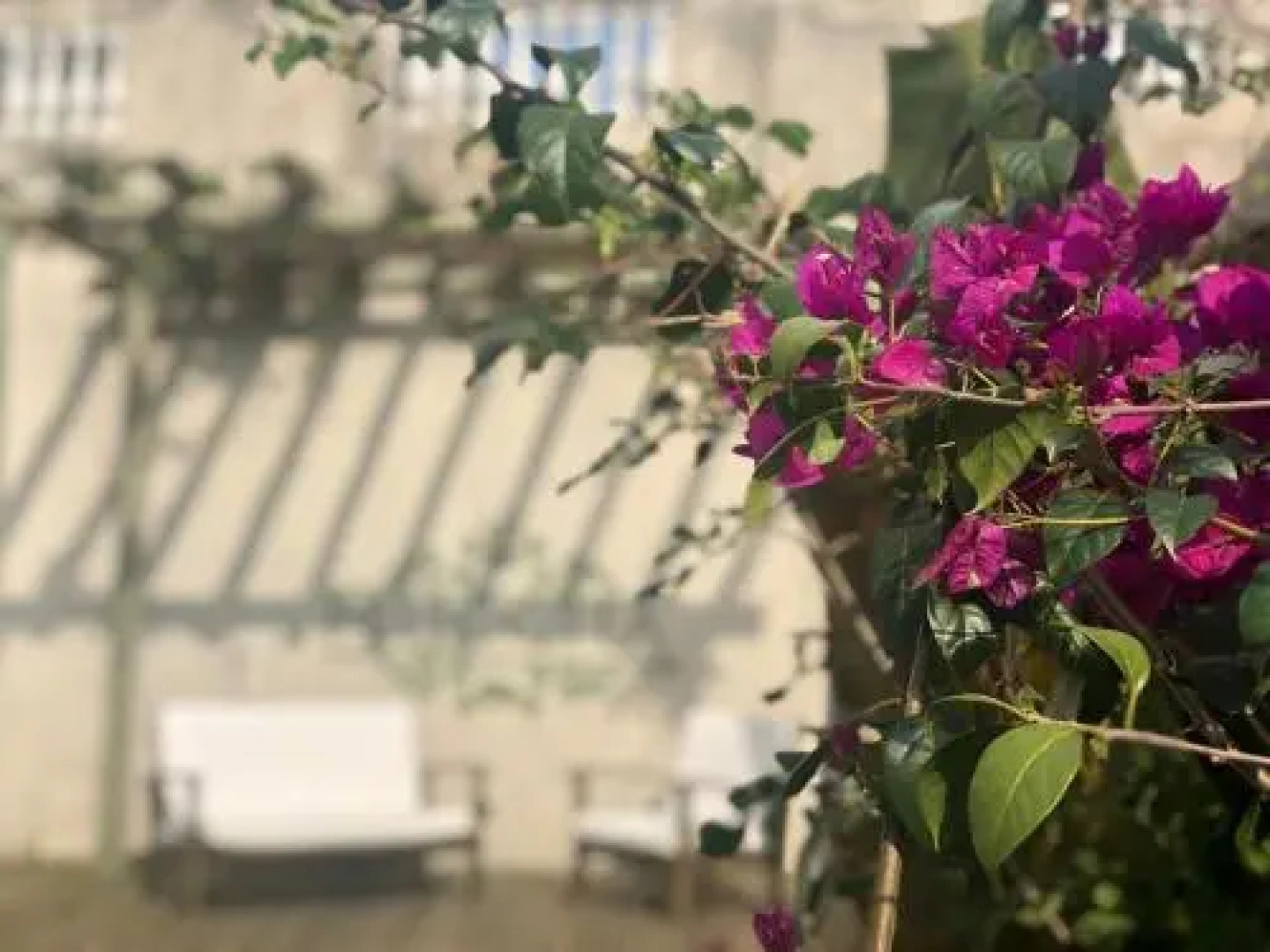 Feliccitá Pousada e Restaurante Ltda