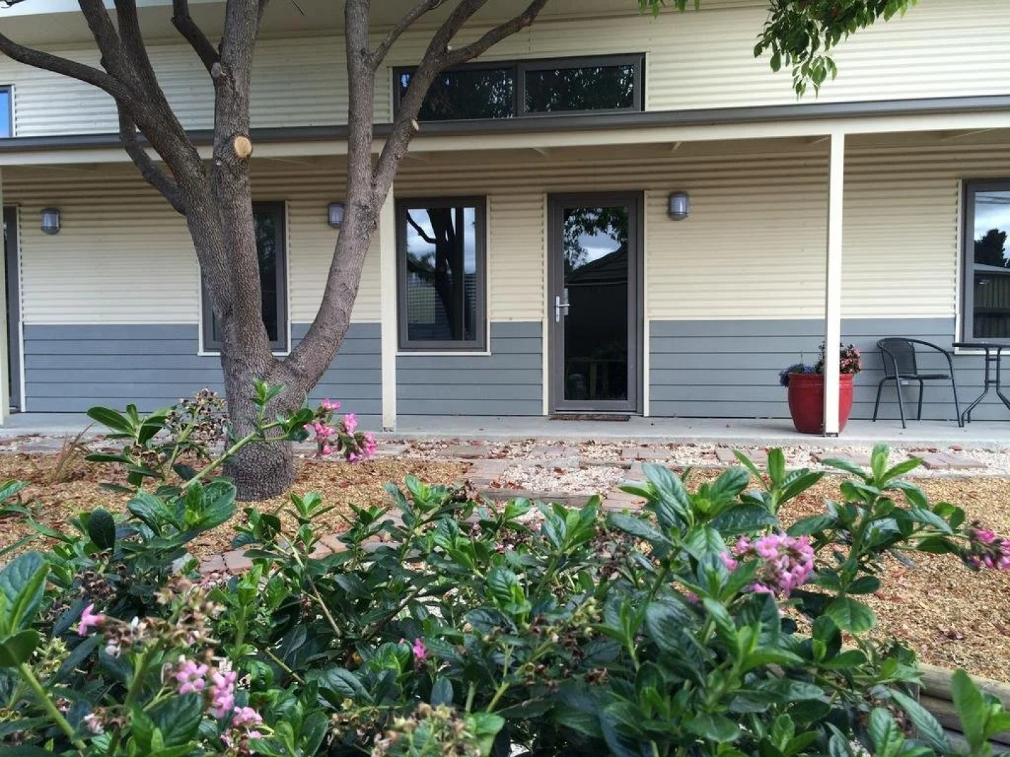 The Grape and Olive at Willunga