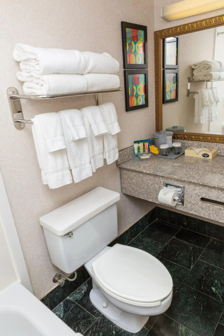 Park Inn by Radisson Sharon