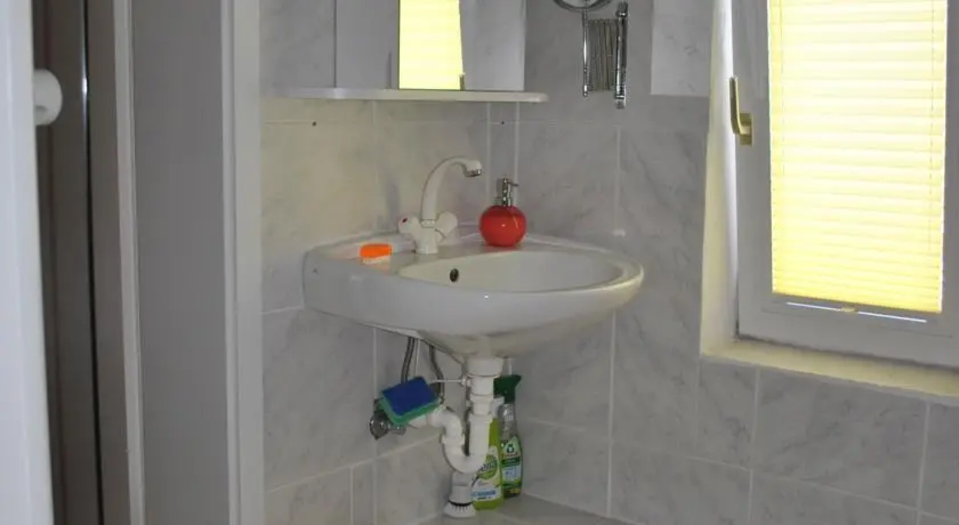 Welshgestüt Cheenook