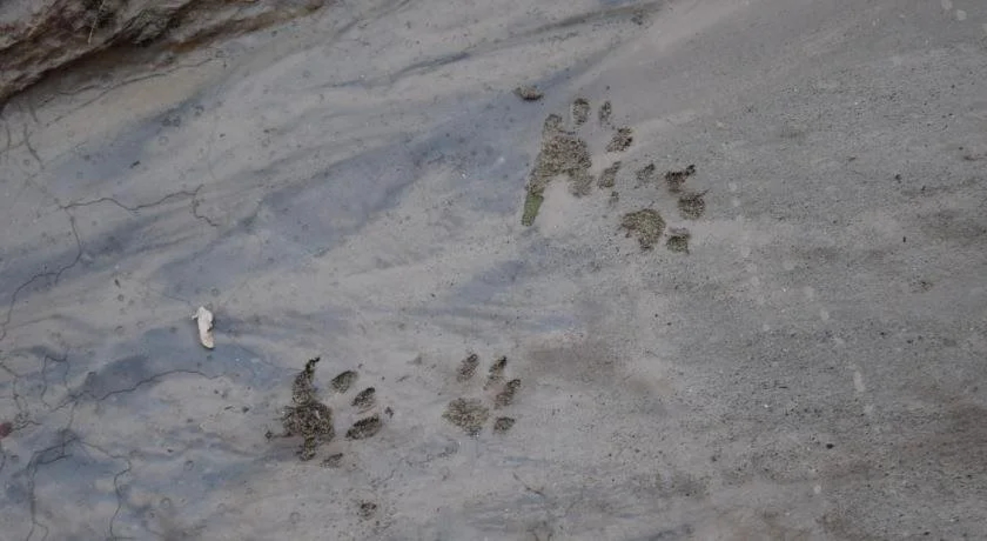 The INN of Escalante