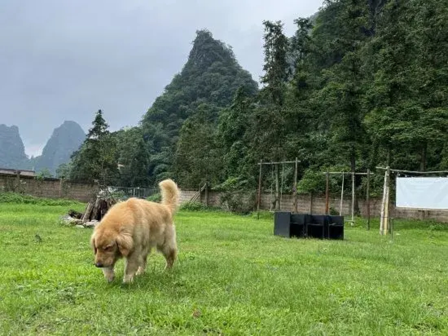 Yingxi Peak Forest Corridor Cuiying Residence