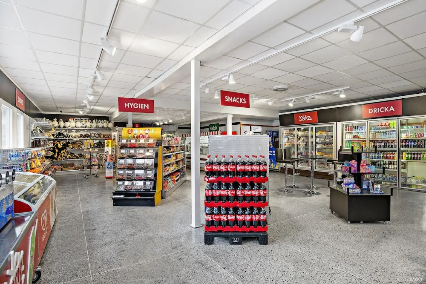 First Camp Kolmården