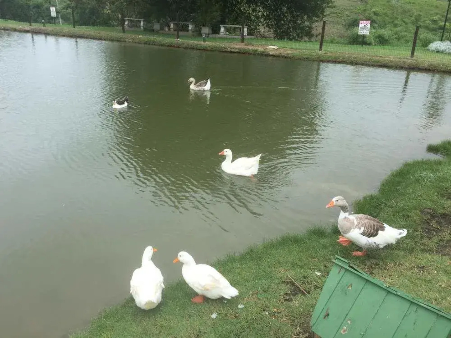 Winterville Residence Suites