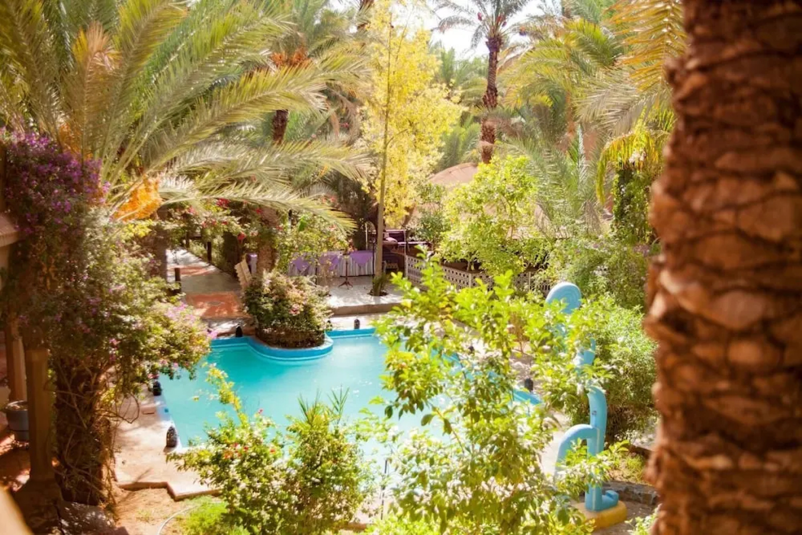 Riad Lamane