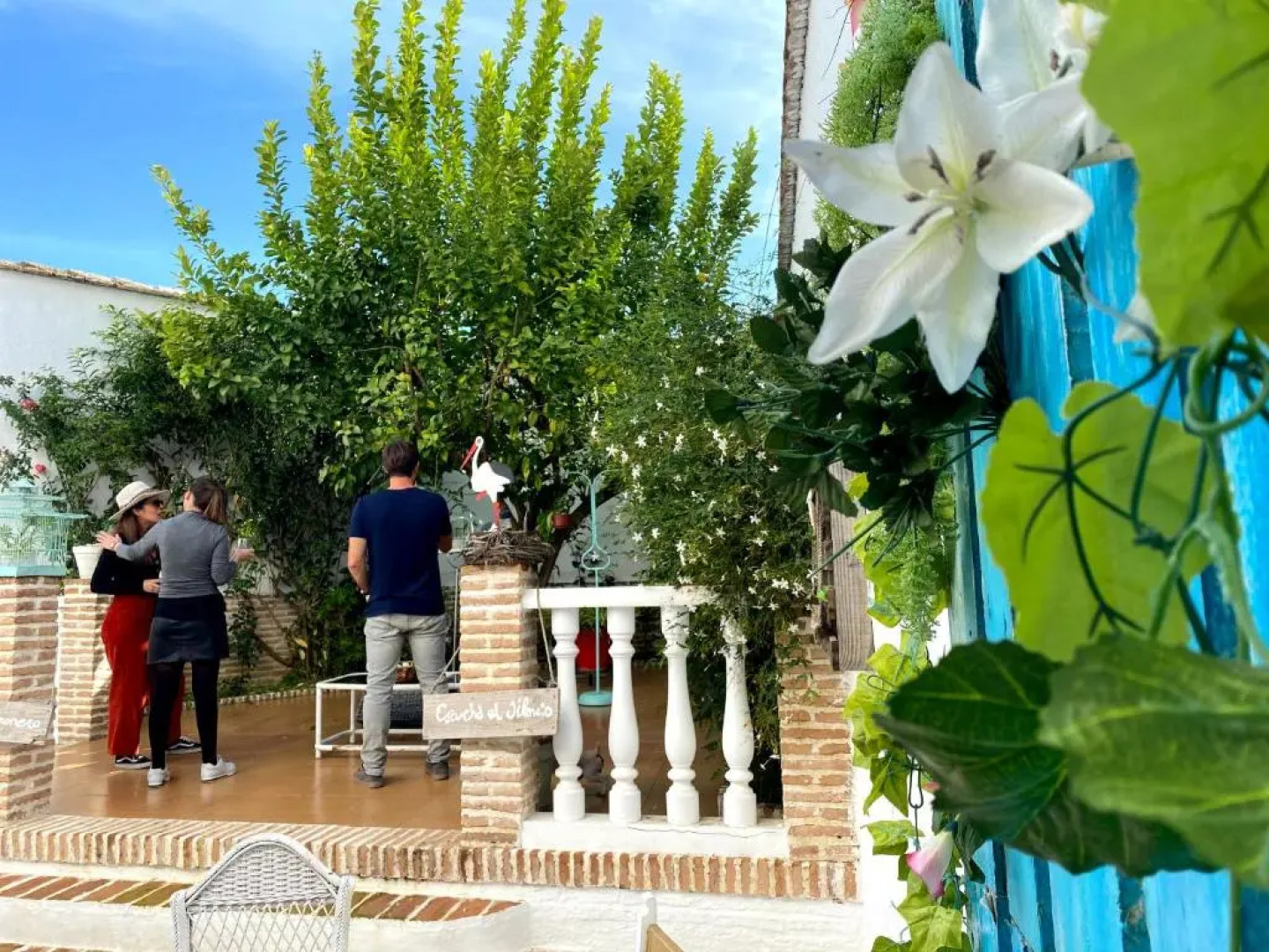 El patio del limonero