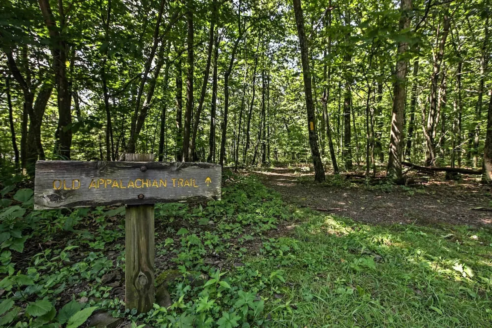 Wintergreen Home w/ Deck - Near Skiing & Hiking!