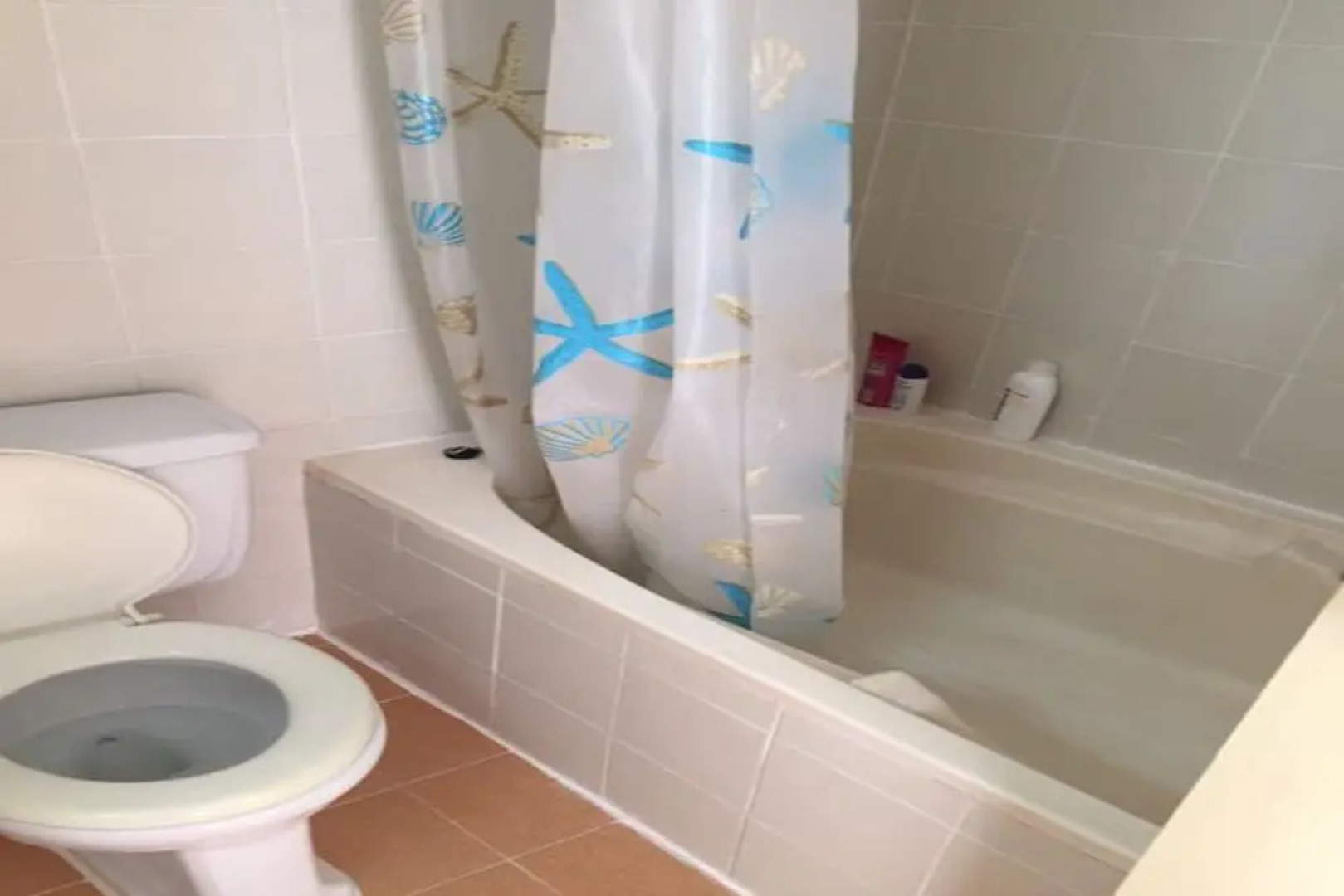 Milford Paradise - No.200