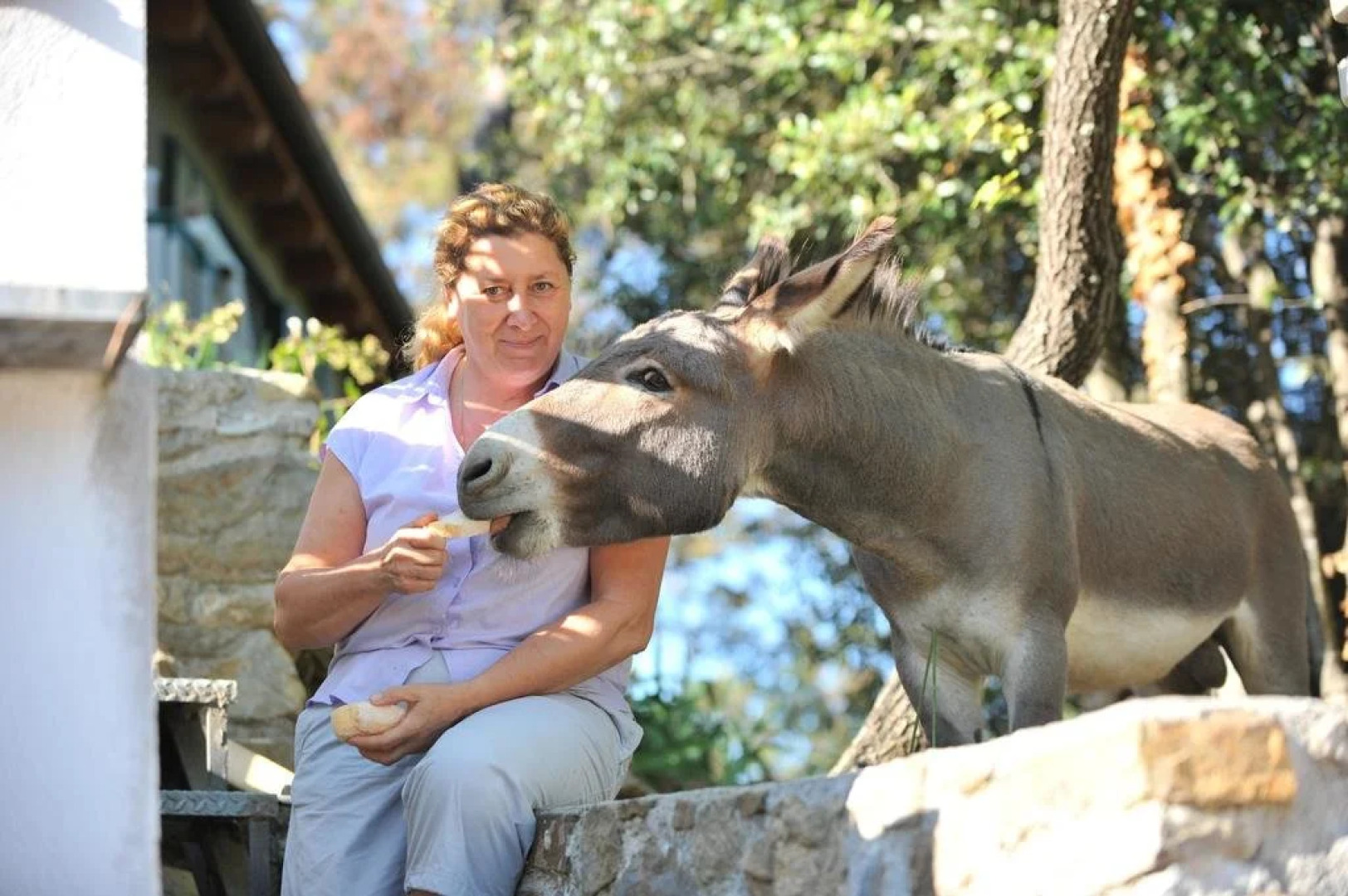 Il Rifugio Di Artemide