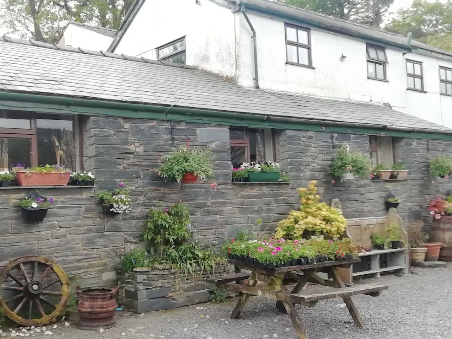 Ty Coch Farm B and B