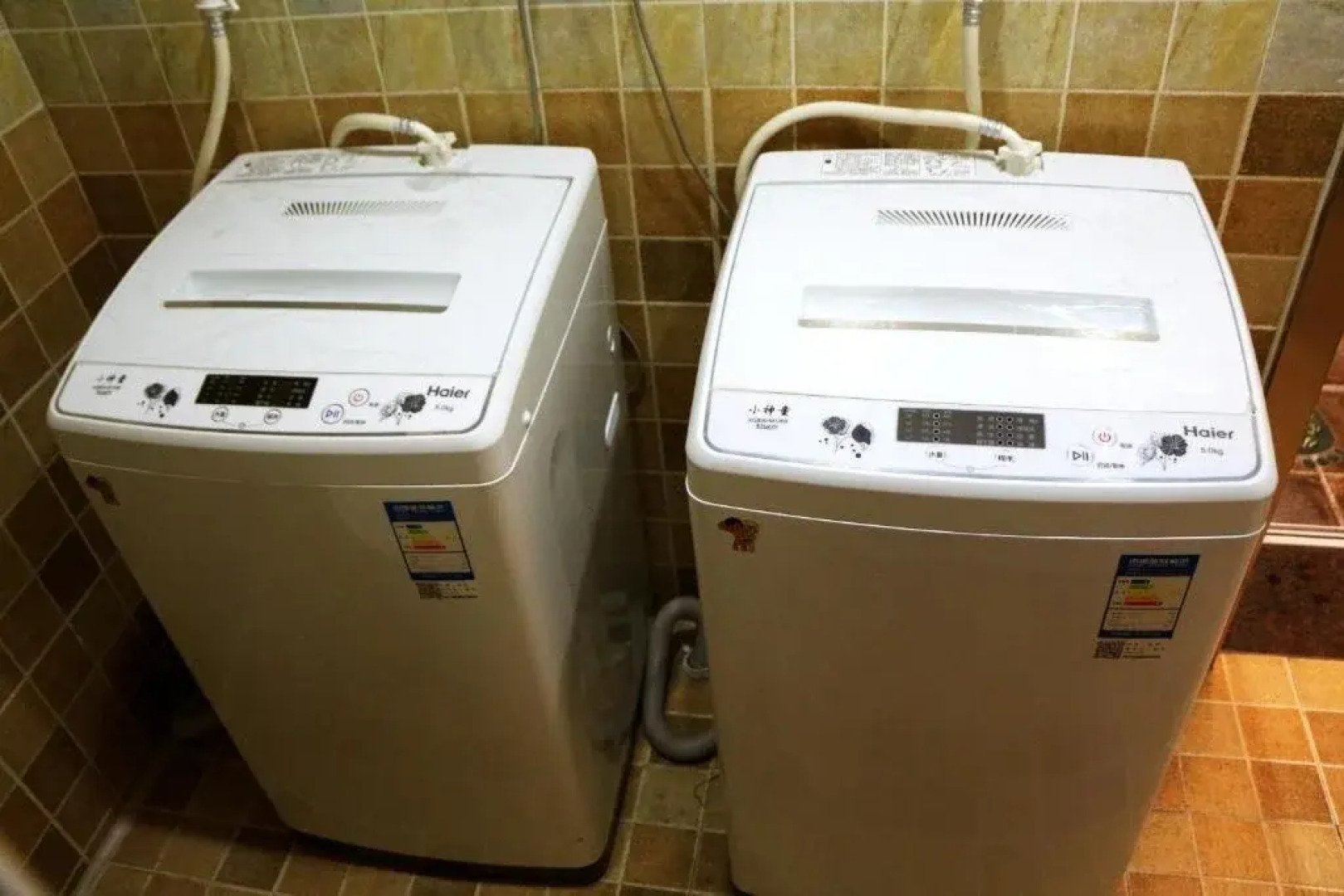 Ziyuoxing International Hostel