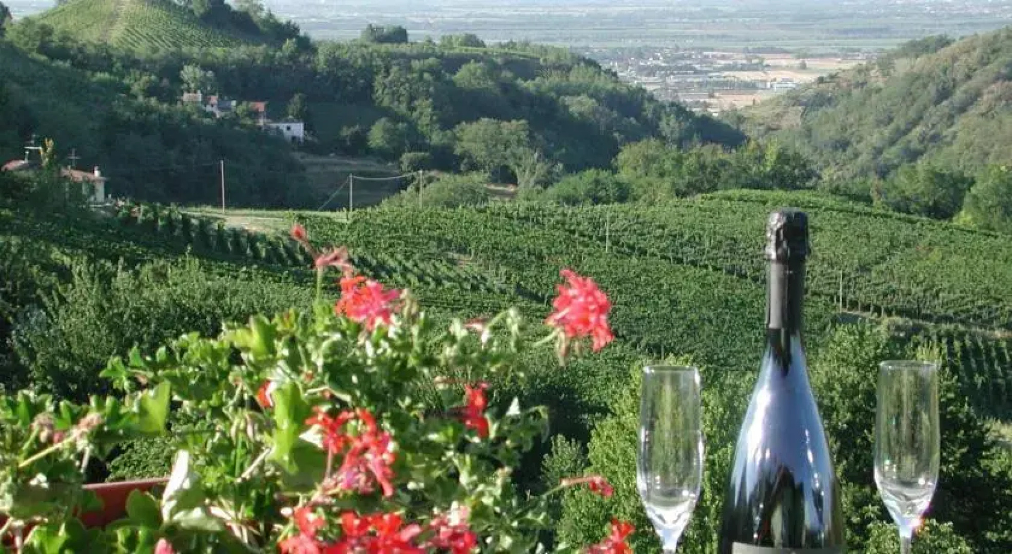 Affittacamere Daniela