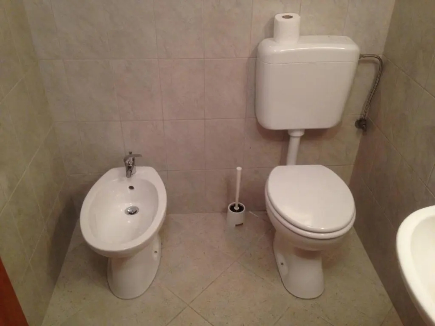 Apartment and Studio Jelušić