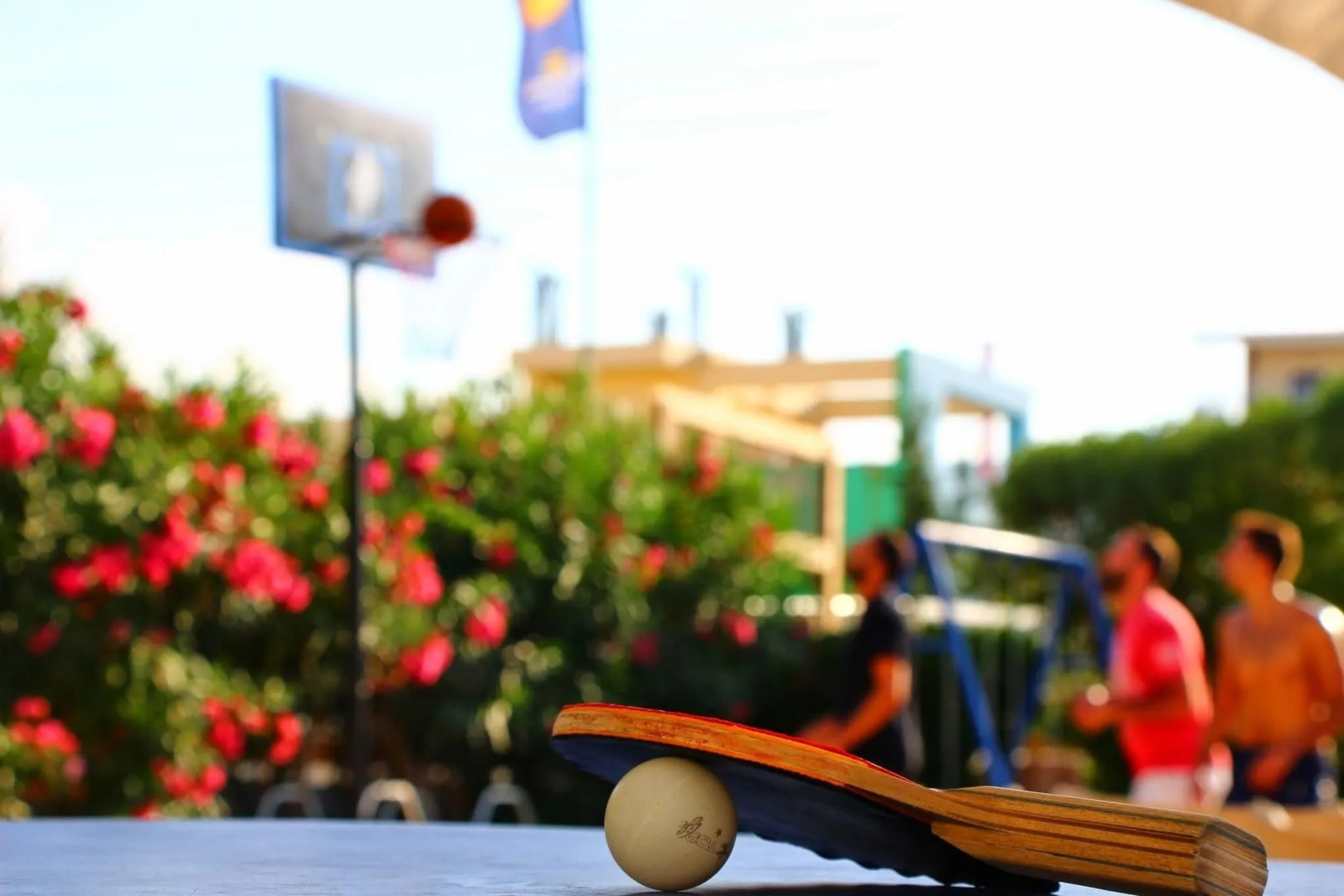 Albatross Studios & Apartments