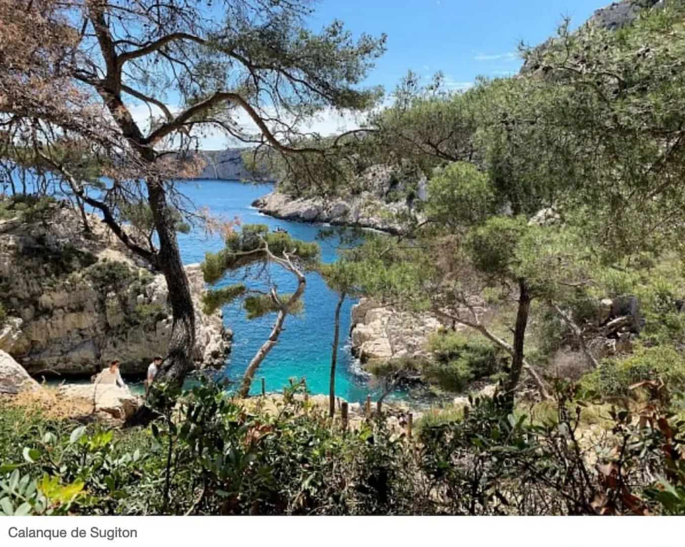 La Tanière de l'Ours Blanc Aubagne-Cassis-Aix en Provence