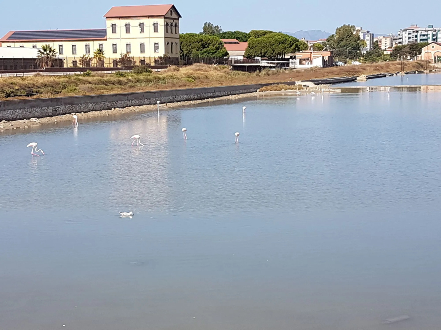 Da Agnese Locazioni brevi