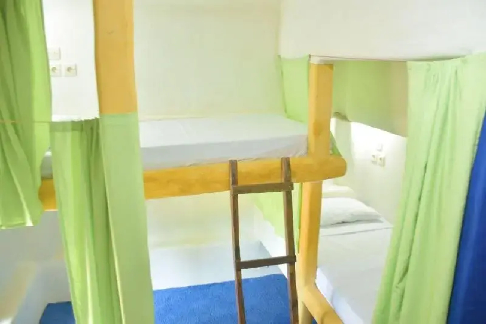 The Rabbit Tree - Hostel