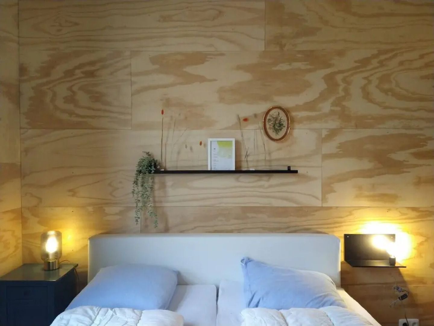 Swarm - 3 Waterlodges Naast Elkaar in Friesland