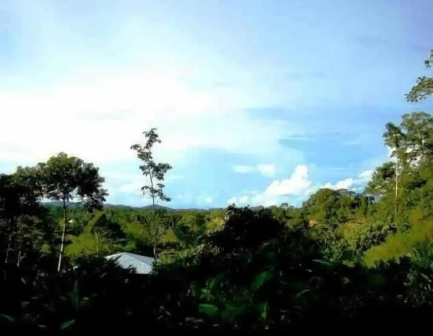 Huella Verde Rainforest Lodge