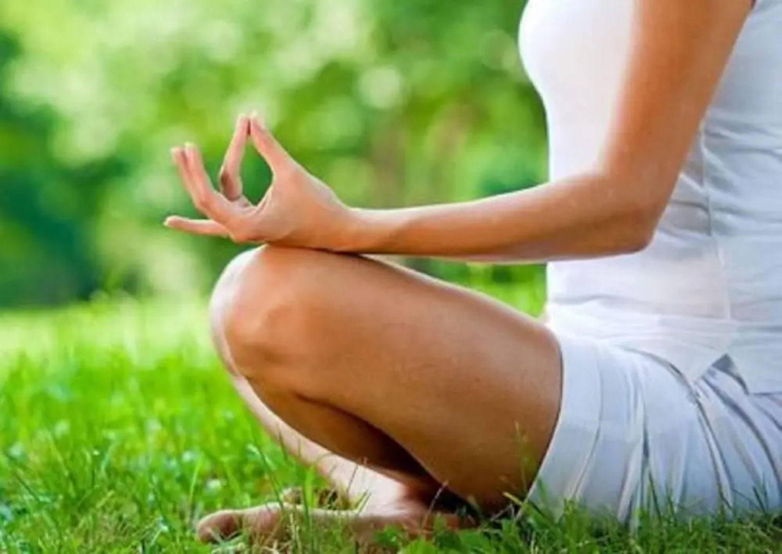 Laura's Country Resort