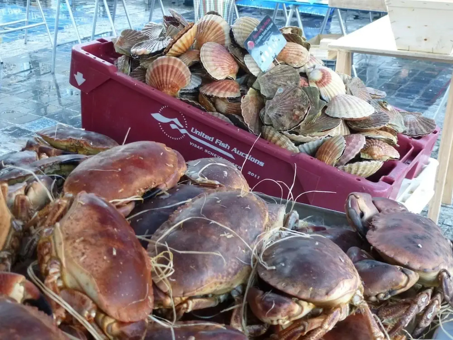 Pretty Ground Floor Flat, Beach 800 m