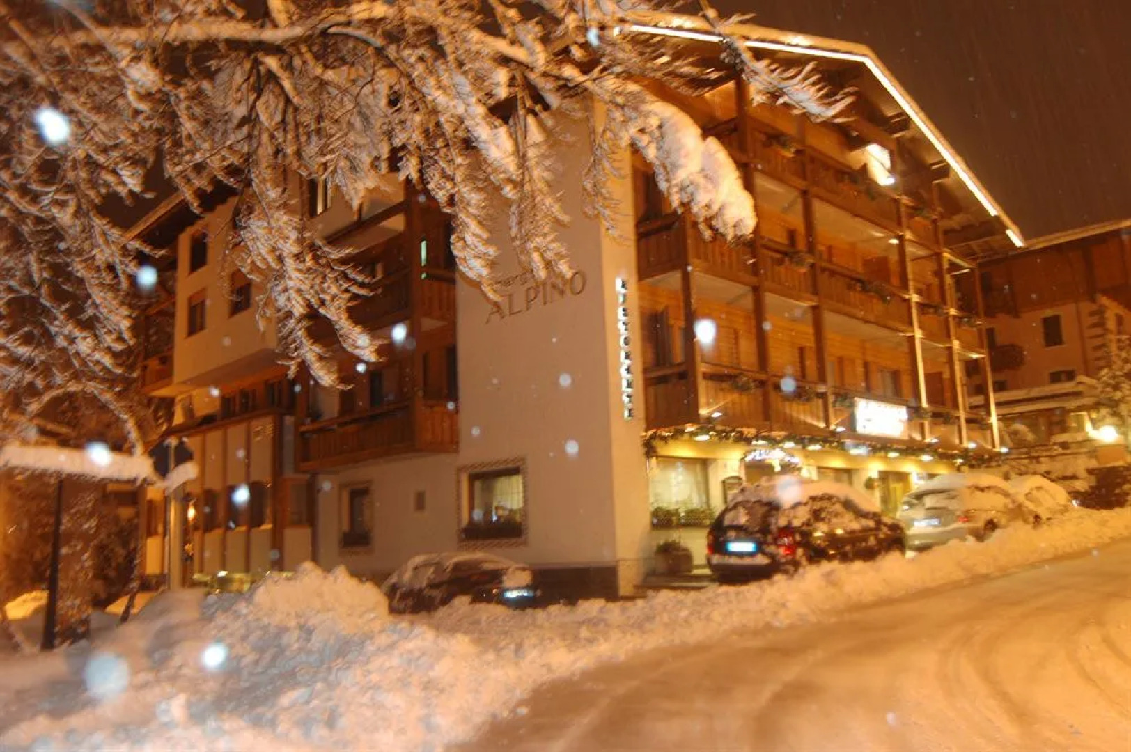 Hotel Alpino