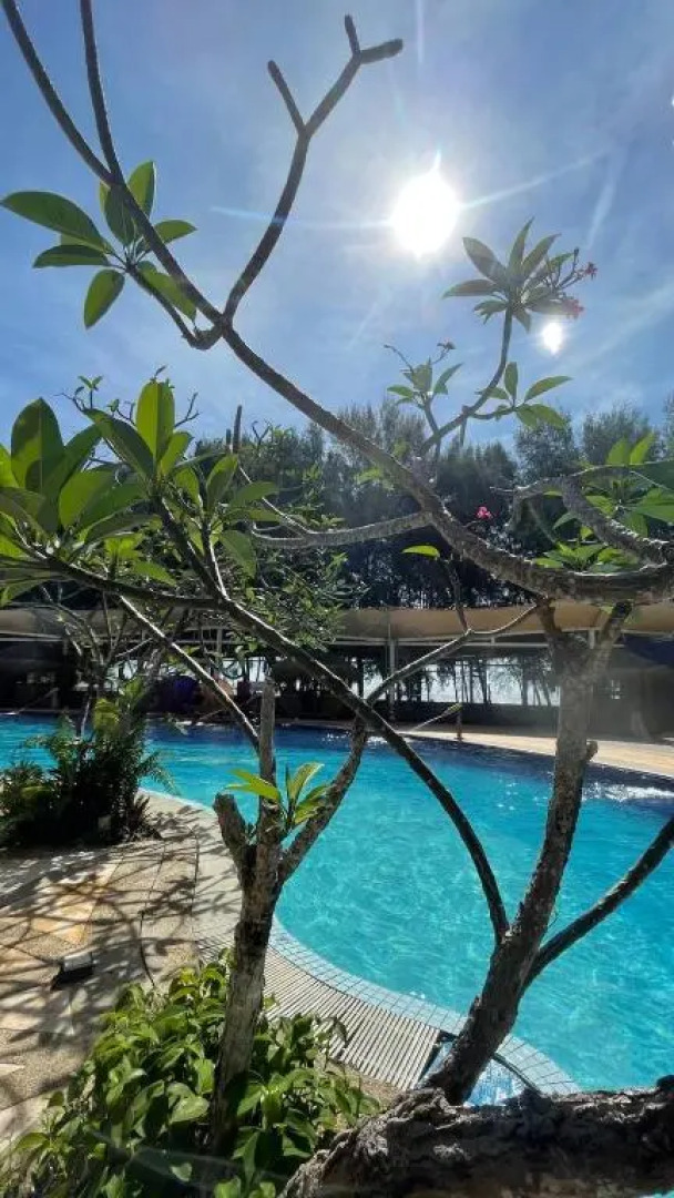 Gold Coast Morib @ 3346