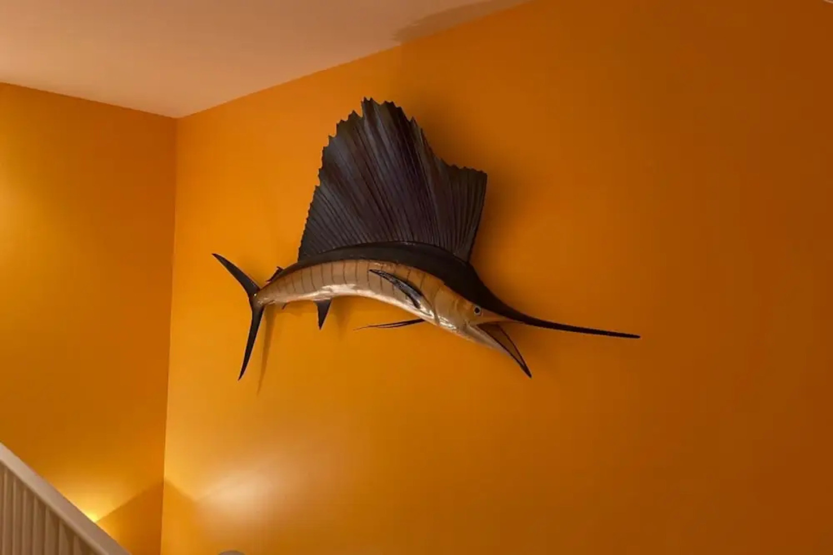 Coral Garden by Avantstay Great Location w/ Balcony & Shared Pool