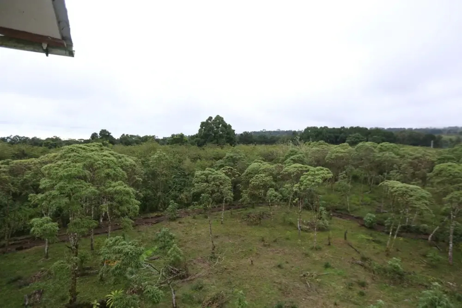 Semilla Verde Boutique Hotel