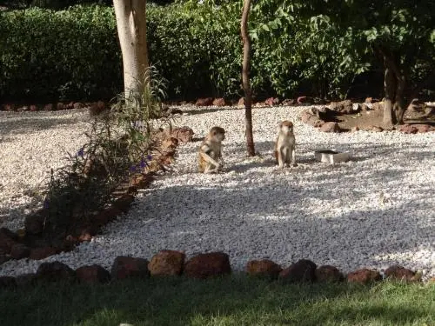 Guest House De Charme