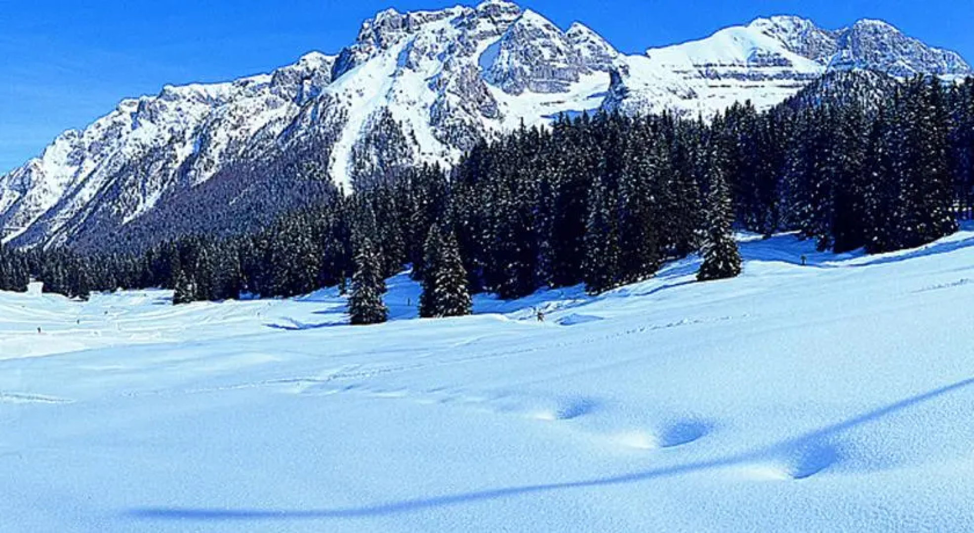 Campiglio Bilocale Monte Spinale