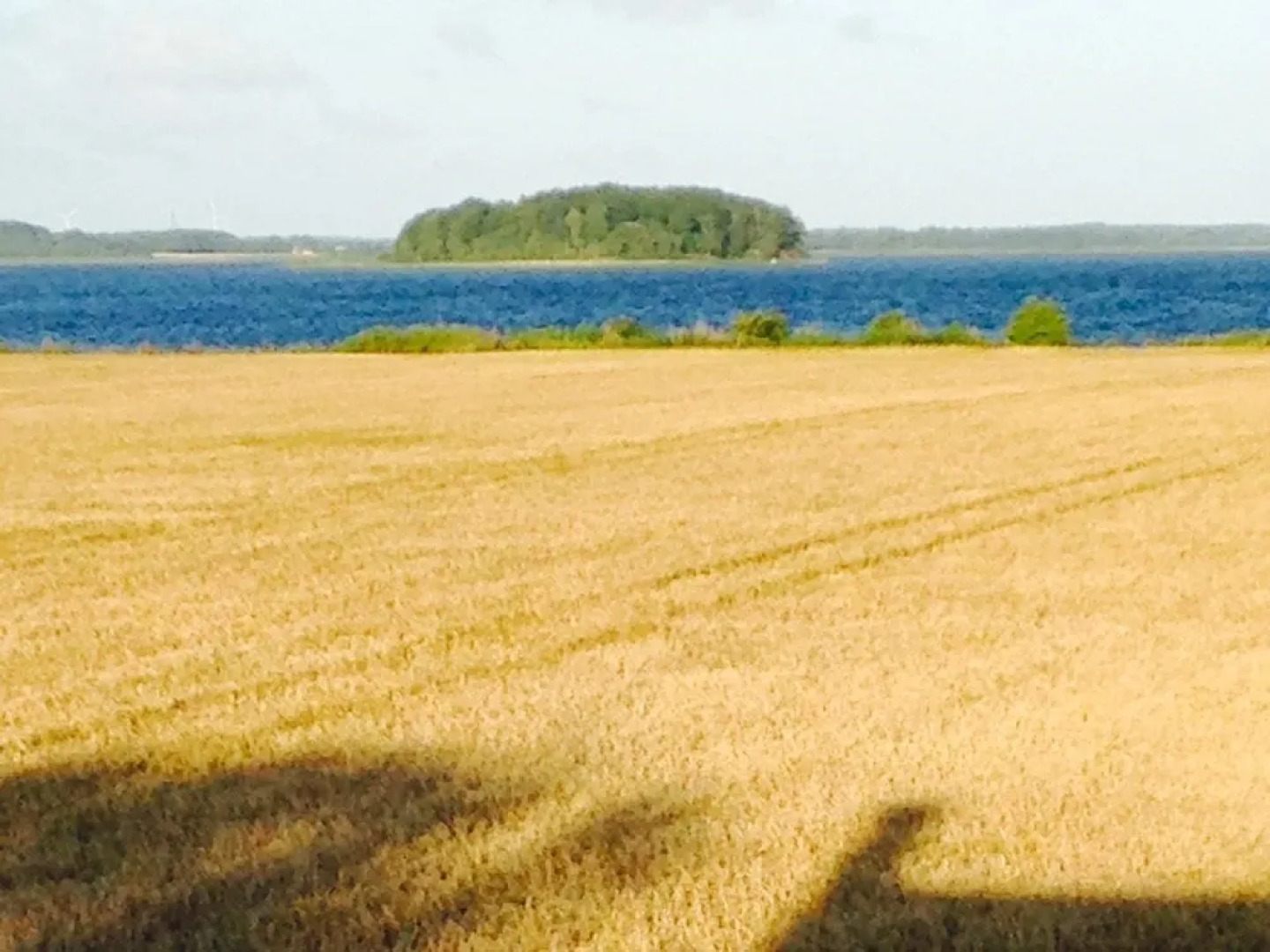 Askø Bed & Breakfast