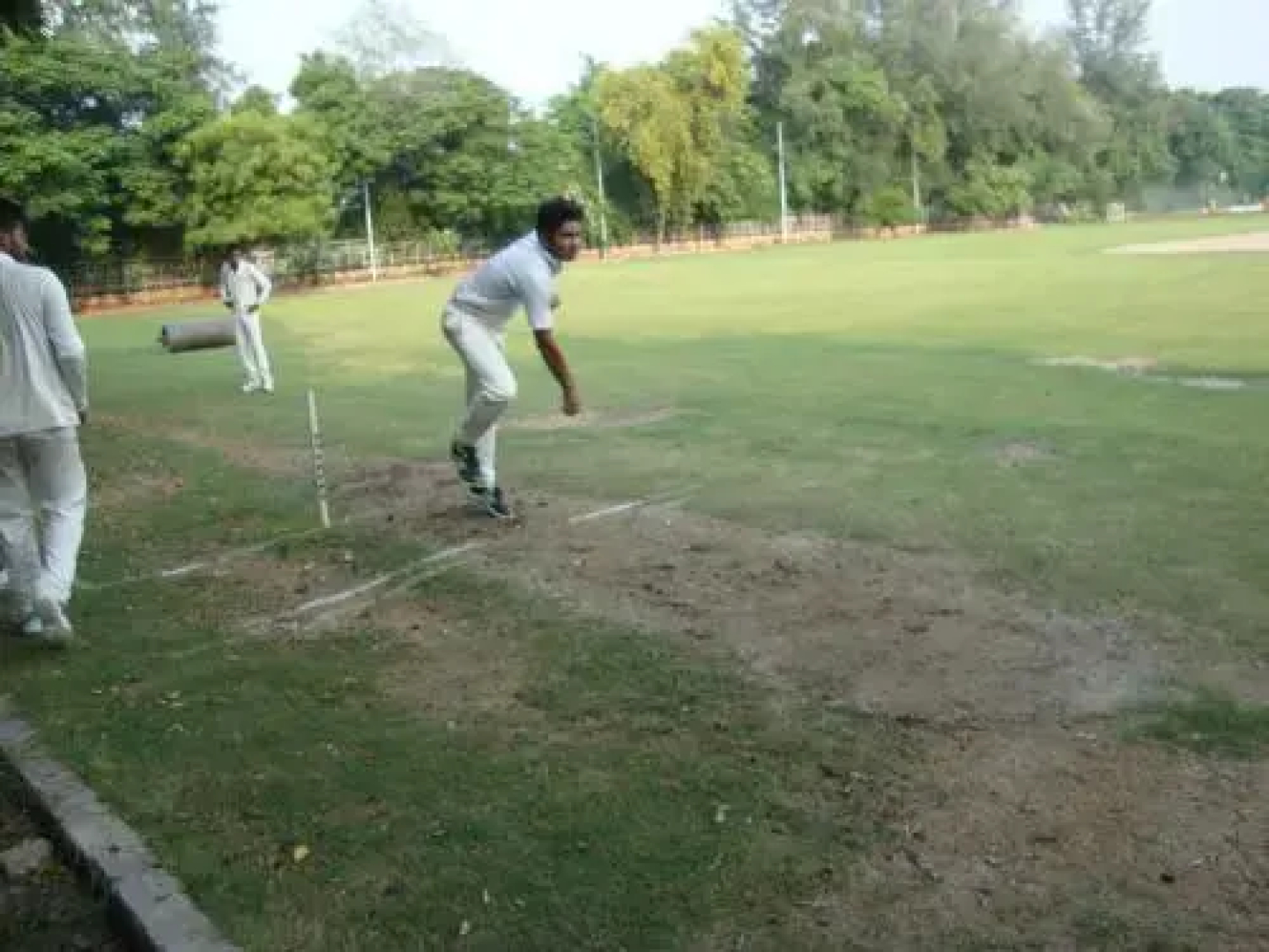 YMCA Greens