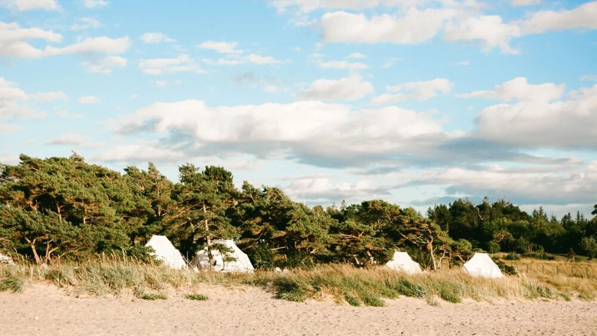 Surflogiet Gotland - Glamping