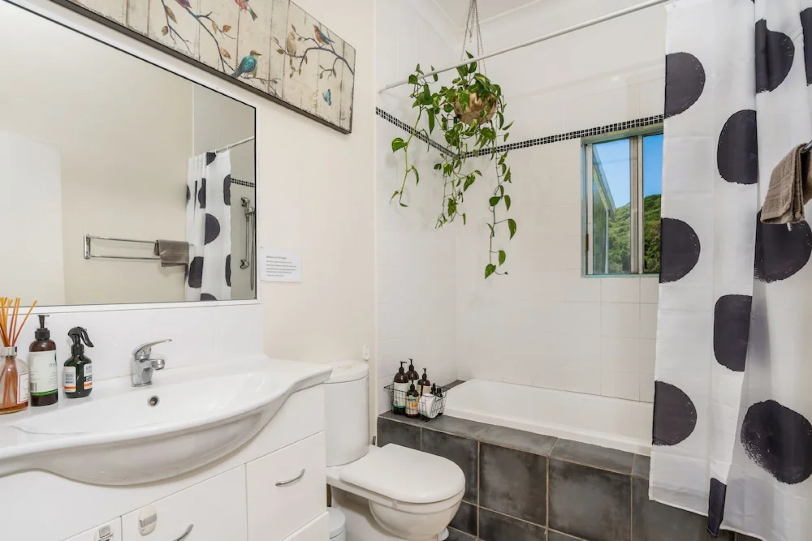 Baileys on Fernleigh