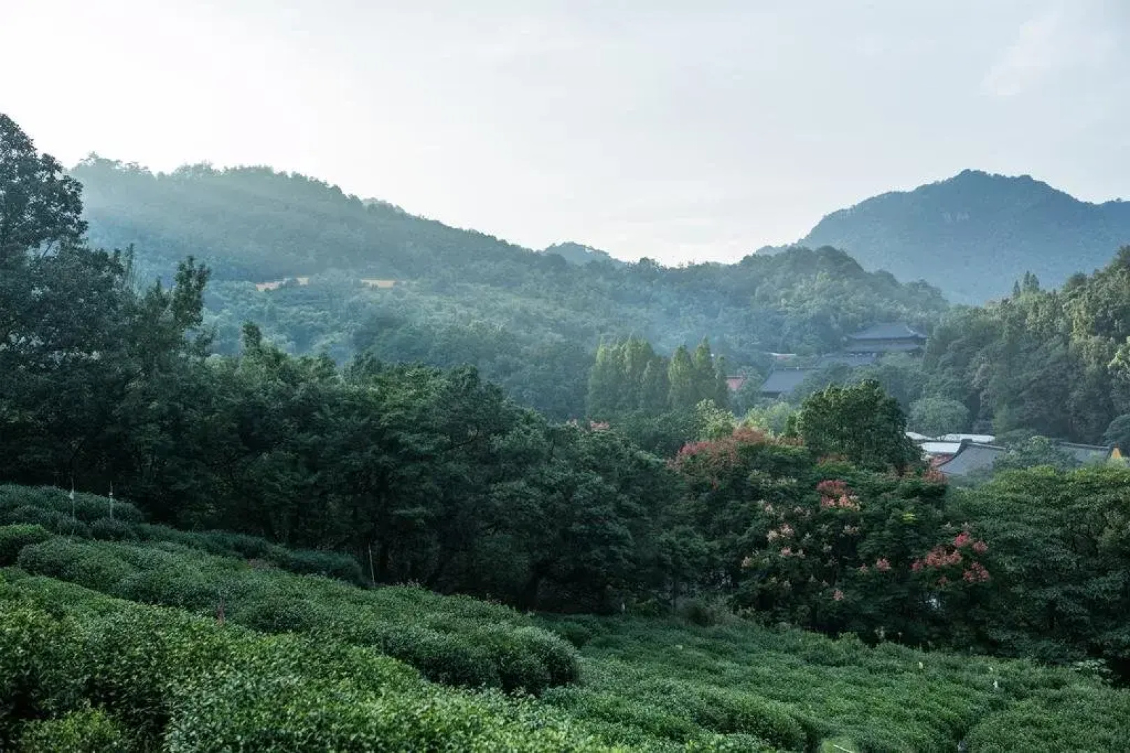 Yinzhu Guest House