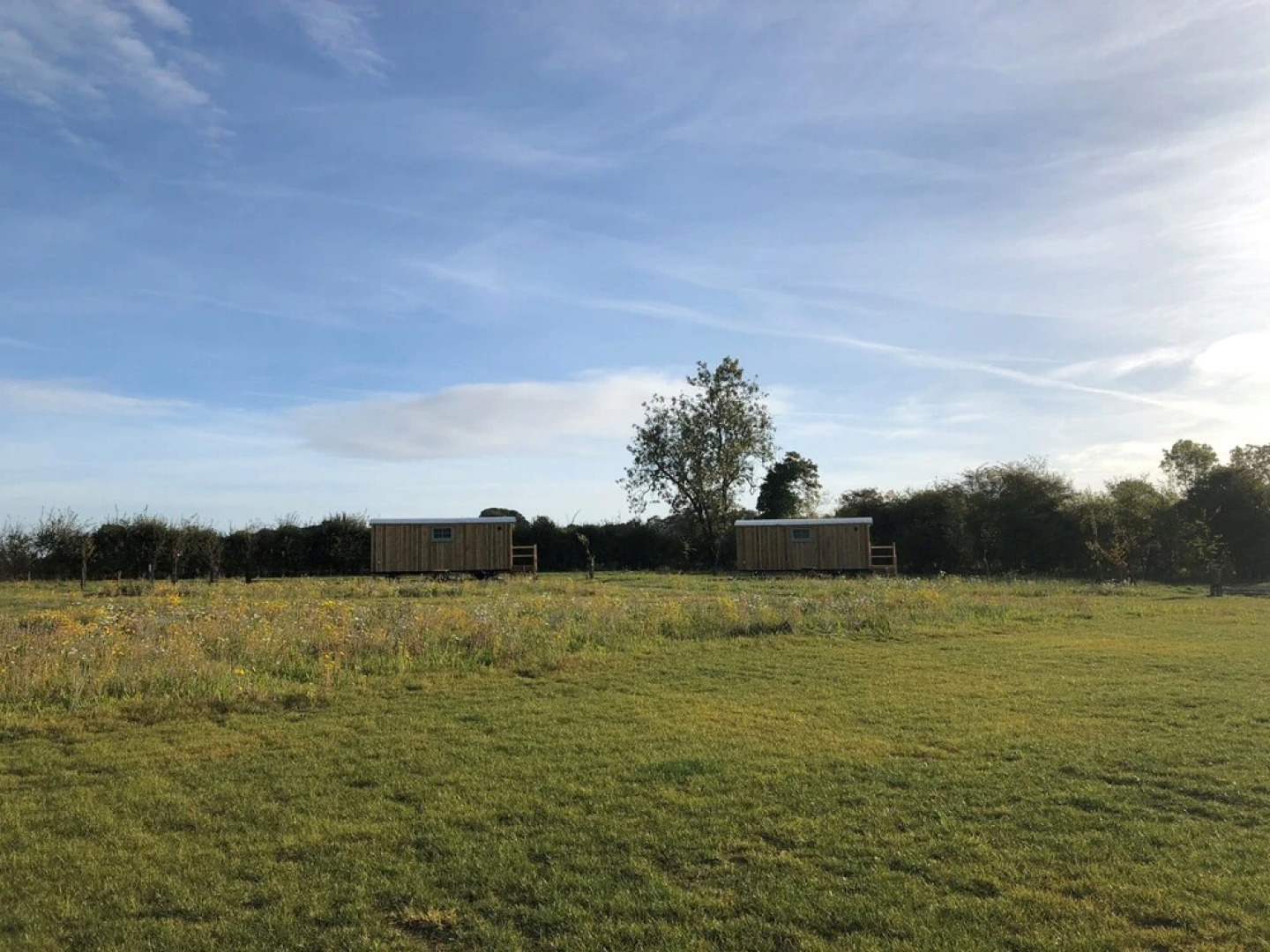 Honeysuckle Holidays