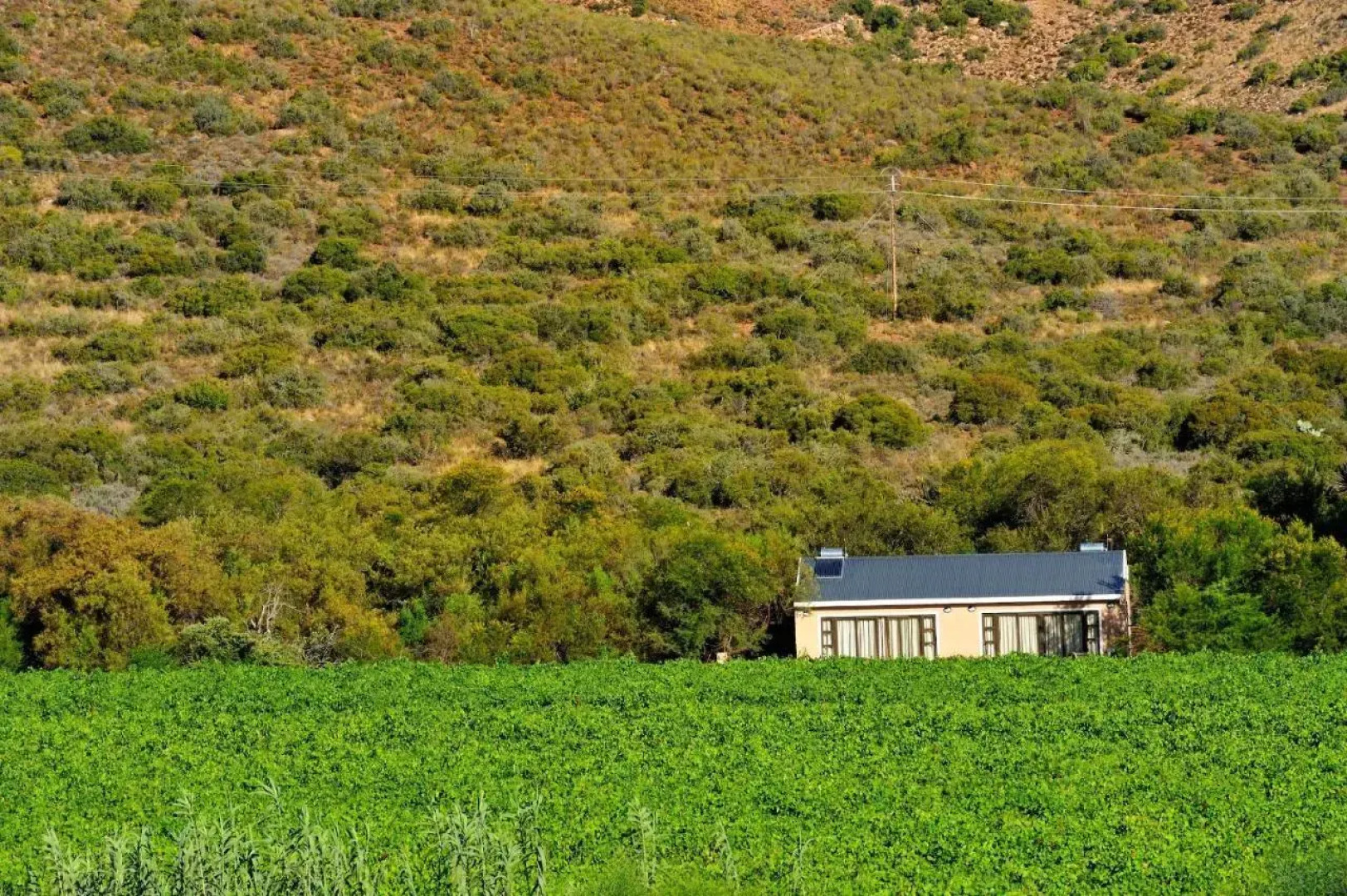 Mymering Guest House