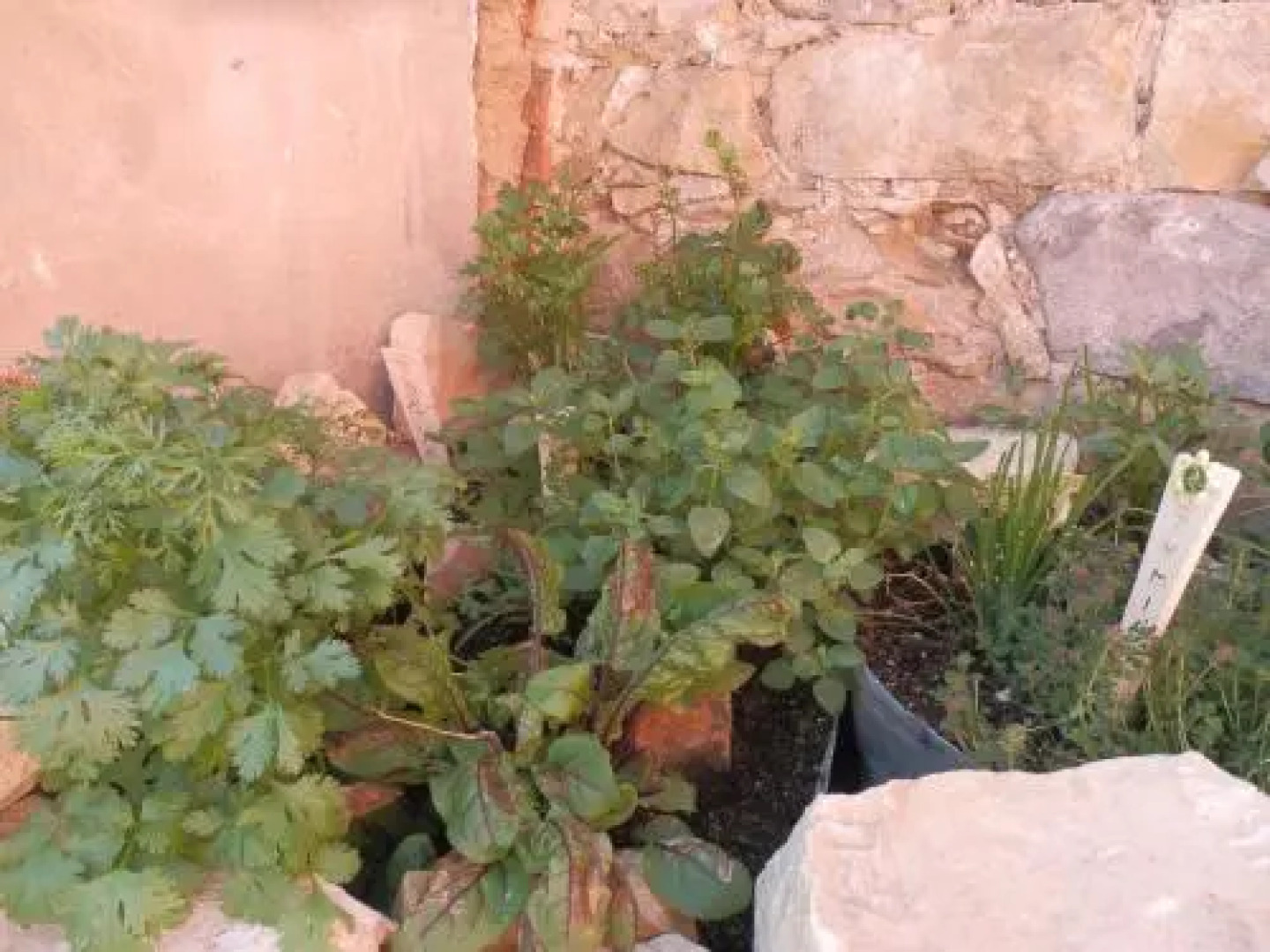 Rodinne Vinarstvi Mikulenkovi