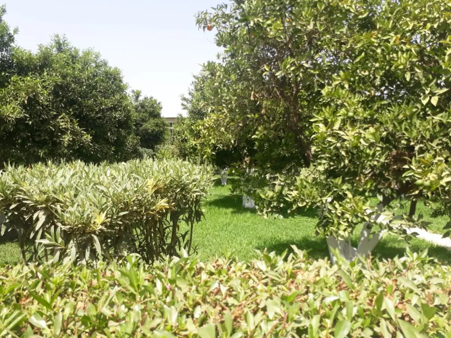 Hotel Almounia Taroudant