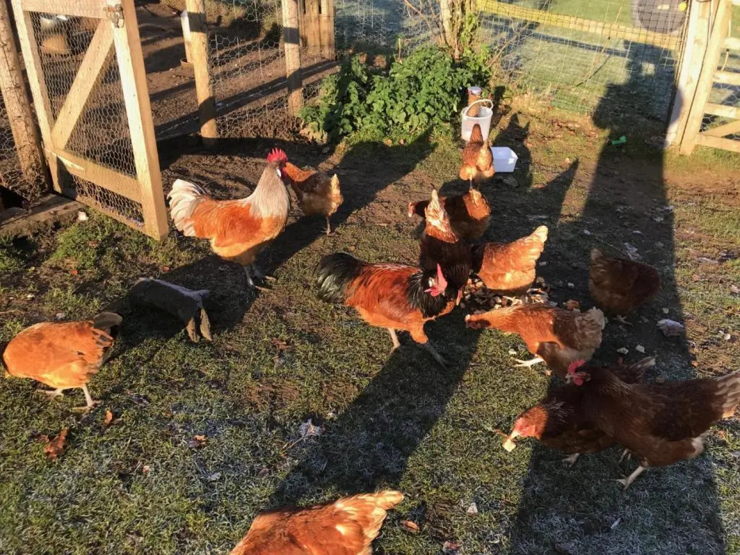 Chart House Bed And Breakfast