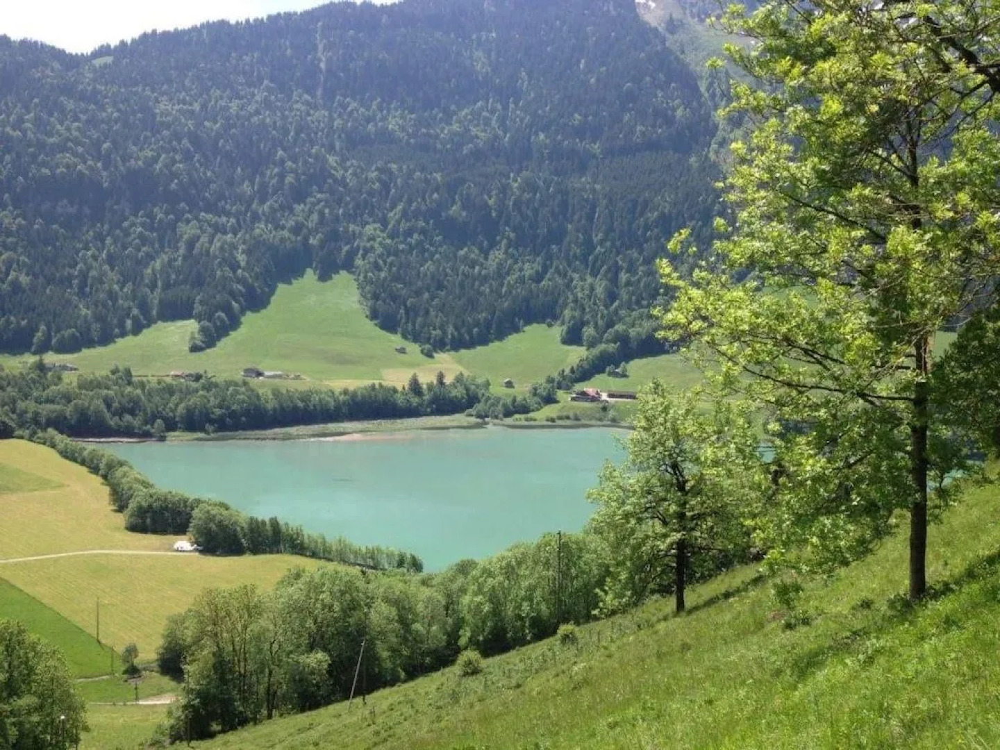 Heidi Chalet Alps-unique experience