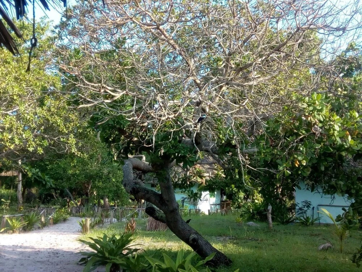 Mangrove beach bungalows